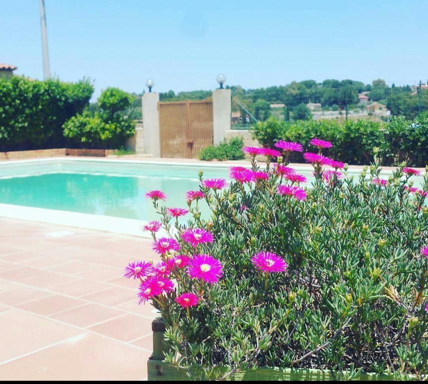 Locanda Rurale Santa Marta อาโวลา ภายนอก รูปภาพ